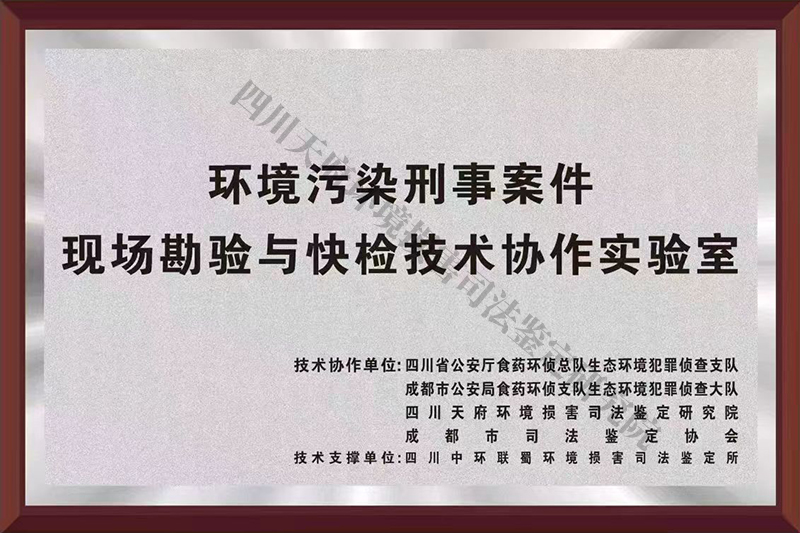 面2.jpg